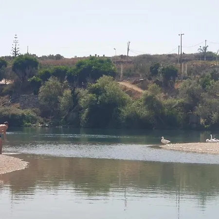 2f 3 ساراندا