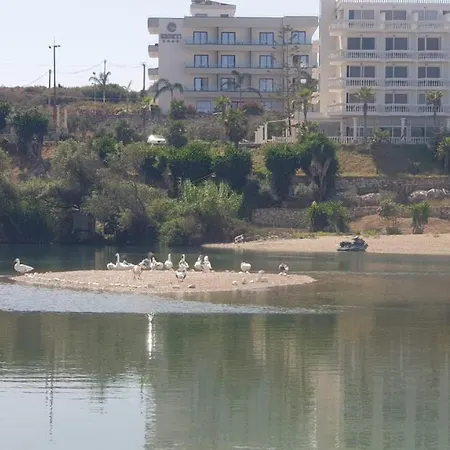 شقة 2f 3